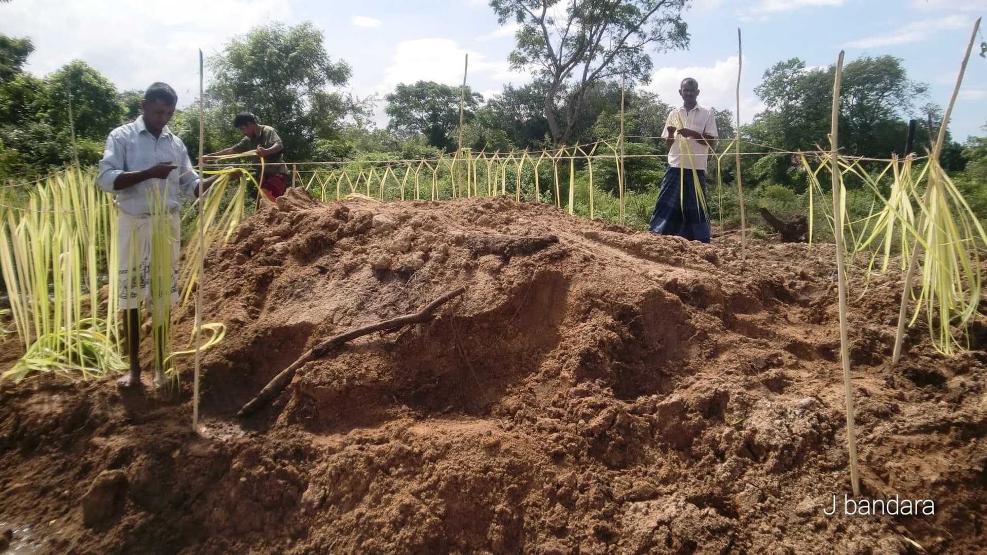 Villagers decorating Parakrama's burial mound with sacred coconut fronds on 29 November 2010